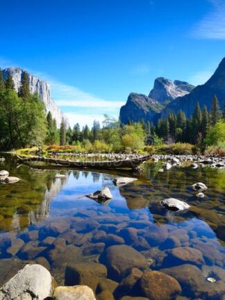Cuadro con paisaje
